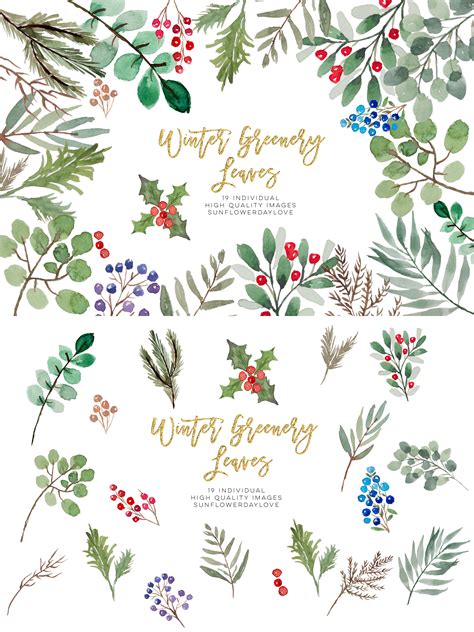 Winter Greenery Leaves Clipart Christmas Leaves By Sunflower Day Love