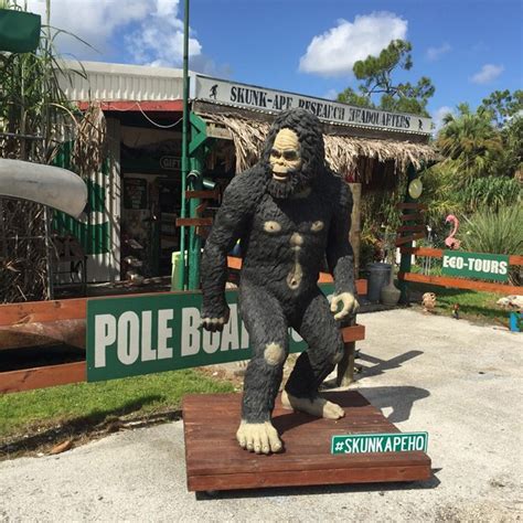 Paranormal Pop Culture Florida S Official Skunk Ape Headquarters The