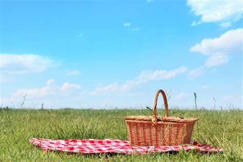 Picnic In The Park