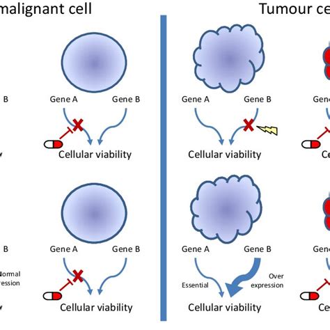 Summary Of Common Synthetic Lethal Screening Approaches And Their