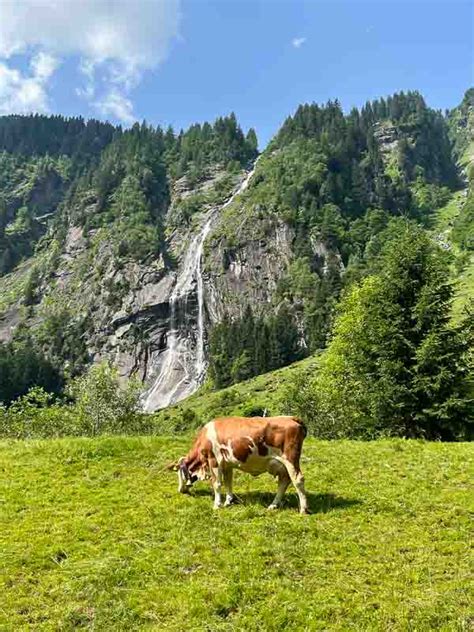 Waterfall Stilluptal Mayrhofen Austria The Travelbunny