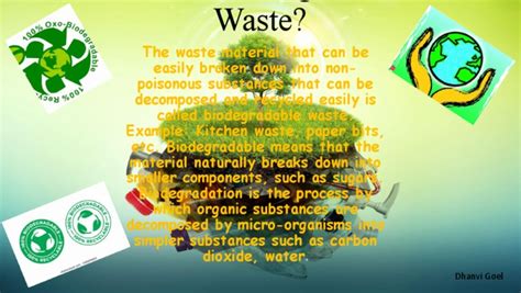 What Is Biodegradable Waste | PDF