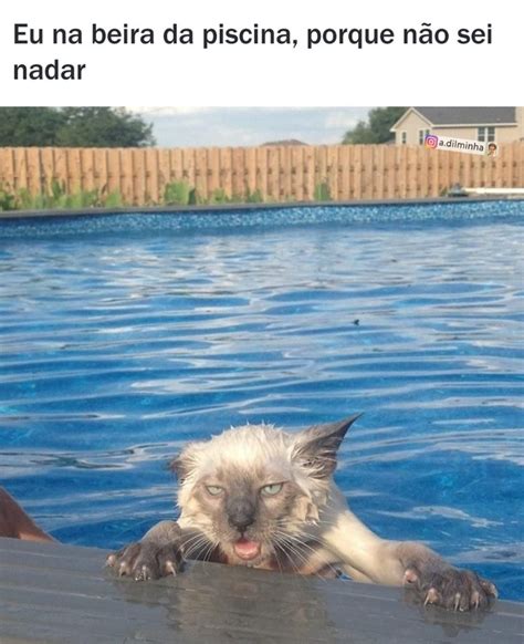 Eu Na Beira Da Piscina Porque N O Sei Nadar Memes