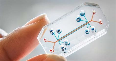 Exploring Microfluidic Devices How They Work And Their Different Types