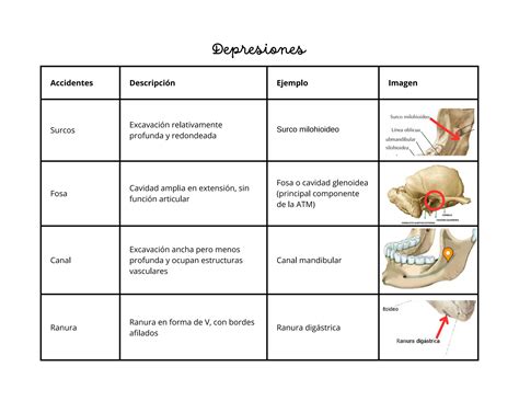 Tipos de accidentes óseos anatomía 1 con ejemplos e imágenes tablas PPT