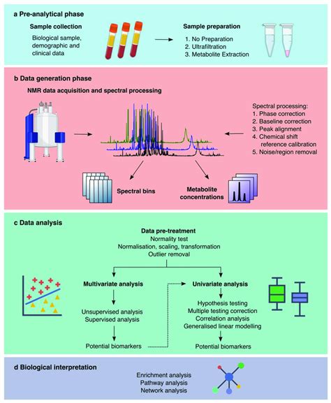 A Typical Workflow For Untargeted NMR Metabolomics The NMR