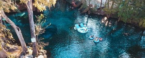 12 Natural Springs in Florida where you can Swim + Go Tubing