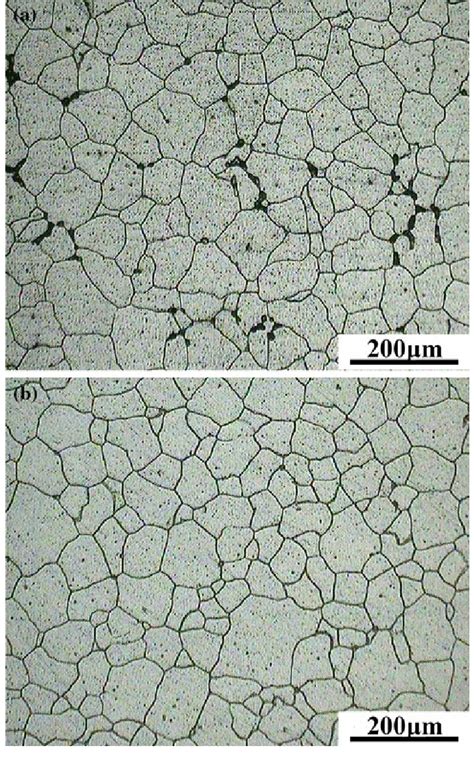 Optical Micrographs Of The Homogenized Samples A SH450 400 C 12 H