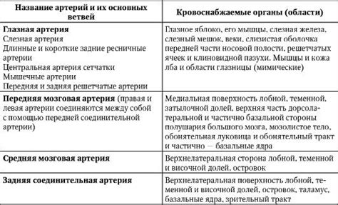 Внутренняя сонная артерия и ее ветви