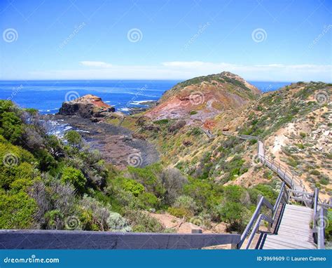 The Boardwalk At Cape Schanck Part Of The Mornington Peninsula