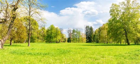 Green Park Forest With Green Trees Stock Image Colourbox