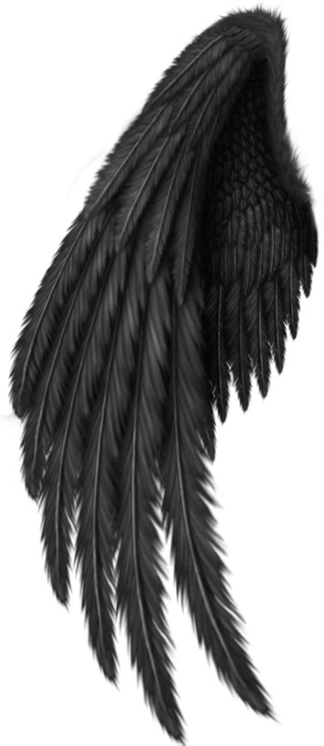 Download Hd Black Angel Wings Png Transparent Png Image