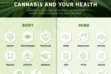 Cannabis In Ayurveda And Its Holy Connection Hempstreet