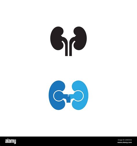 Kidney Shape Vector Vectors Hi Res Stock Photography And Images Alamy