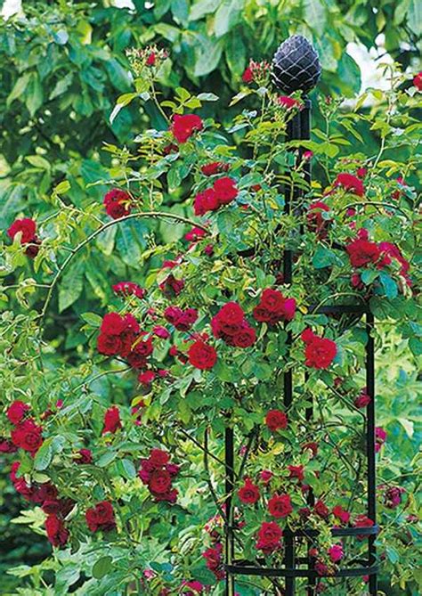 Charming garden obelisks and ideas for spectacular garden designs