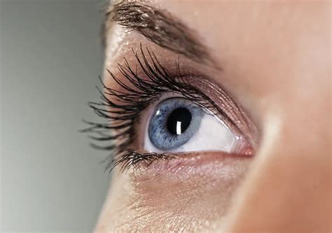 Can I use minoxidil or Rogaine ® to grow my eyelashesBlog- read more ...