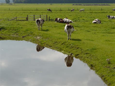 Hollands Plaatje Jolle Flickr