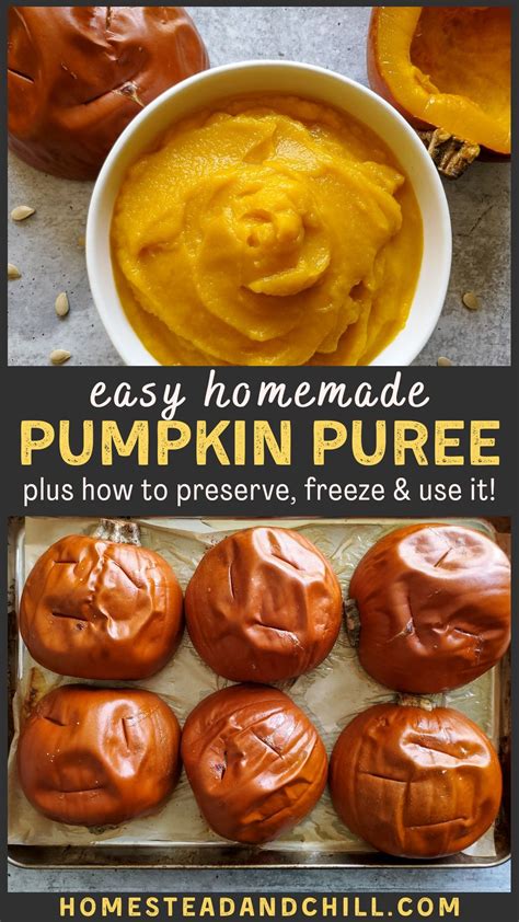 How To Make Homemade Pumpkin Puree And Freeze It Artofit