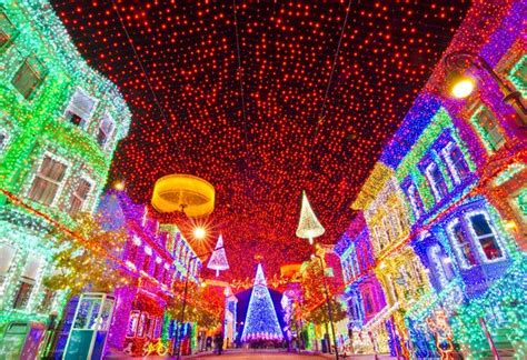 20 Insane Christmas Light Displays Disney World Christmas Disney