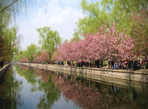 Spring Has Sprung At Yuan Dadu Park Cn