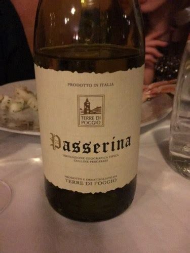 Terre Di Poggio Passerina Vivino US