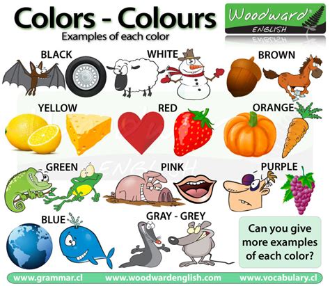 Colours Colors In English Learn English Vocabulary Los Colores En