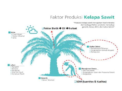 Faktor Produksi Kelapa Sawit Pdf