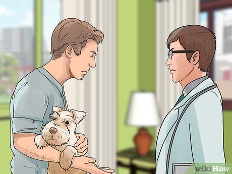 How to Prevent Mange in Dogs (with Pictures) - wikiHow