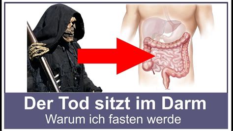 Der Tod Sitzt Im Darm Warum Ich Fasten Werde Youtube