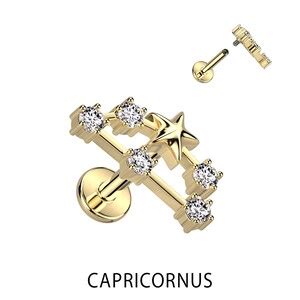 Zodiac Constellation G G Cartilage K Gold Internally Threaded