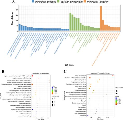 Pathway Enrichment Analysis Of Differentially Expressed Genes A Go Download Scientific Diagram