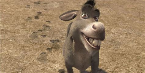 Las 10 Frases Más Icónicas Del Querido Burro De Shrek Clacktvcl
