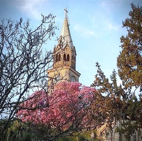 Igreja Matriz De S O Sebasti O Um S Mbolo Hist Rico E Cultural