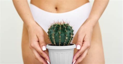 Tout ce que vous devez savoir sur l épilation du bikini les