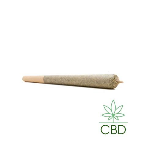 Joint Cbd Avec Filtre Charbon Actif Premium Zion Folium Boutique