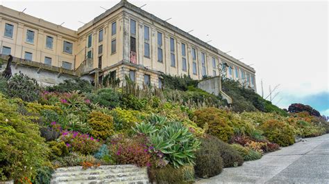 ‘The Rock’s’ softer side: The gardens at Alcatraz