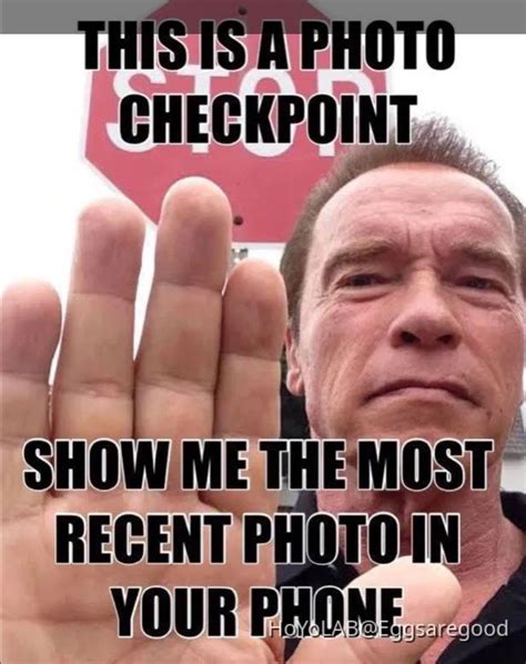 Photo Checkpoint Meme Genshin Impact Hoyolab