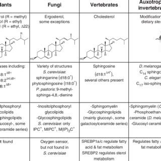 Sterol And Sphingolipid Structures And Distribution Among Species