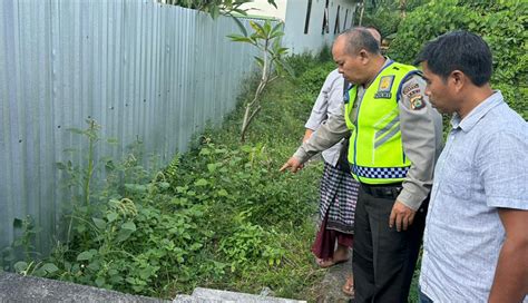 Nusabali Bayi Baru Lahir Dibuang Di Depan Palinggih