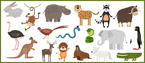 3rd grade science worksheets about animals | Parenting