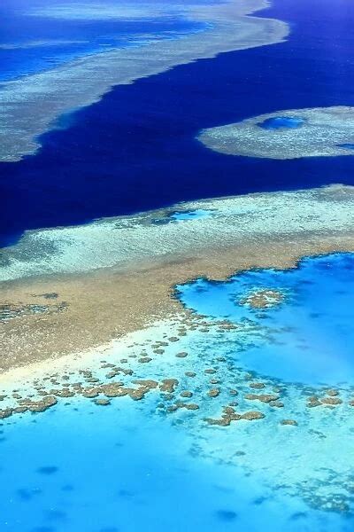 Great Barrier Reef Australia Our Beautiful Wall Art And Photo Ts