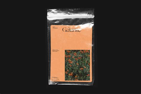 GALANTE on Behance