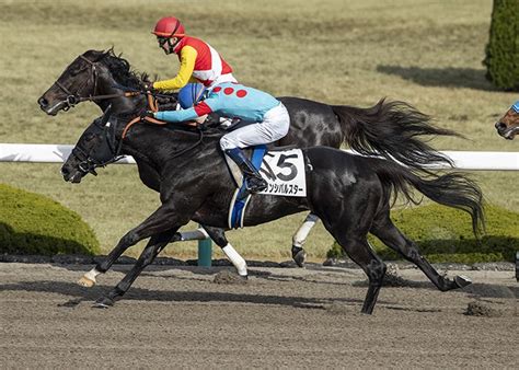 芝へ！ダートへ！障害へ！ 元装蹄師の馬選び（一口馬主日誌）