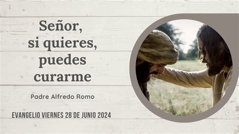 Evangelio del 28 de junio de 2024 Señor si quieres puedes curarme