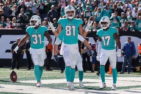 Miami Dolphins Training Camp Preview Tight Ends Sports