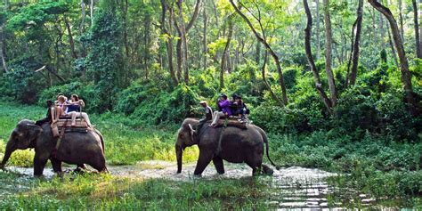 Chitwan Jungle Safari Tour - Epic Adventures