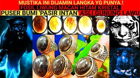 Dijamin Mustika Ini Sangat Jarang Yg Punya Fosil Liwung Macan Kristal