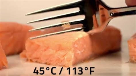 Sous Vide Salmon At Different Temperatures Youtube