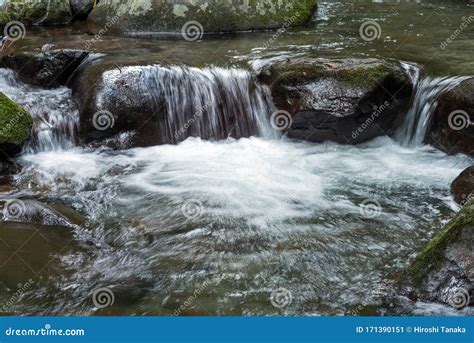 Brook Stream Flowing Stock Image Image Of Natural Water 171390151