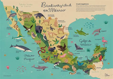 Map Of Mexicos Biodiversity